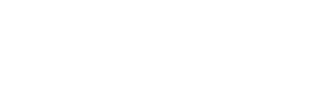 LOGO-IVSJ